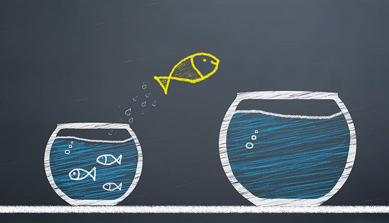 トランジションとコーチング