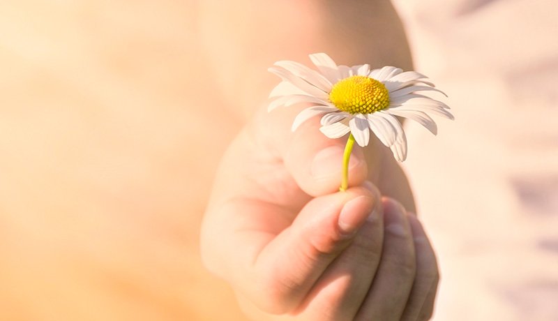 ひとつの問いが示す、あなたのコーチングに影響を与えているもの