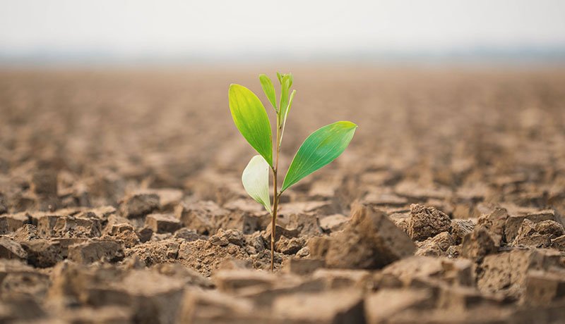 私からあなたへ、50代のエレジー