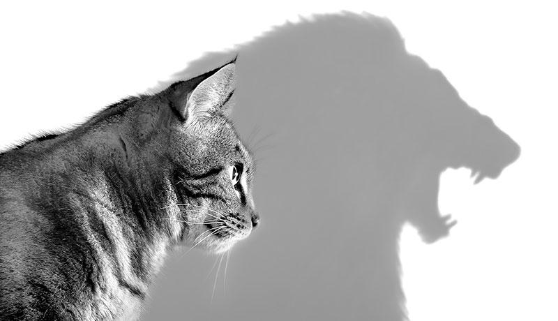 Refresh the Point of View of Your Subordinates toward Themselves