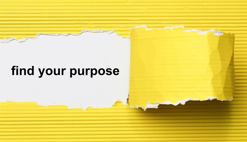 Building a Purpose-driven Company - How the Concept of Ikigai Encourages Meaningful Business Growth