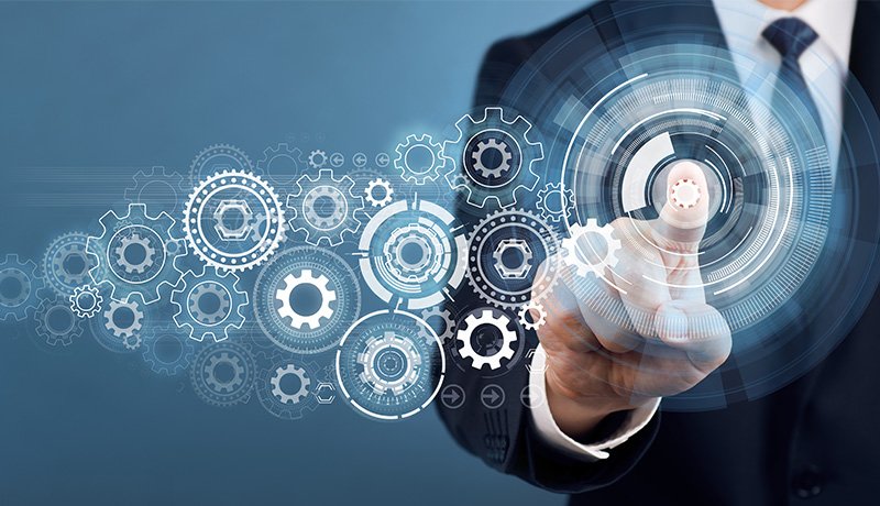 What are the Crucial Questions for Building a Sustainable Organization?