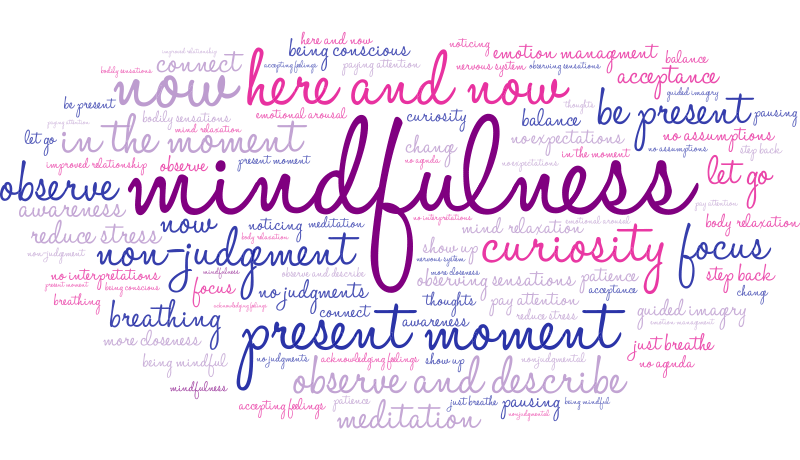 What Kind of Person Do You Think He/She Is?