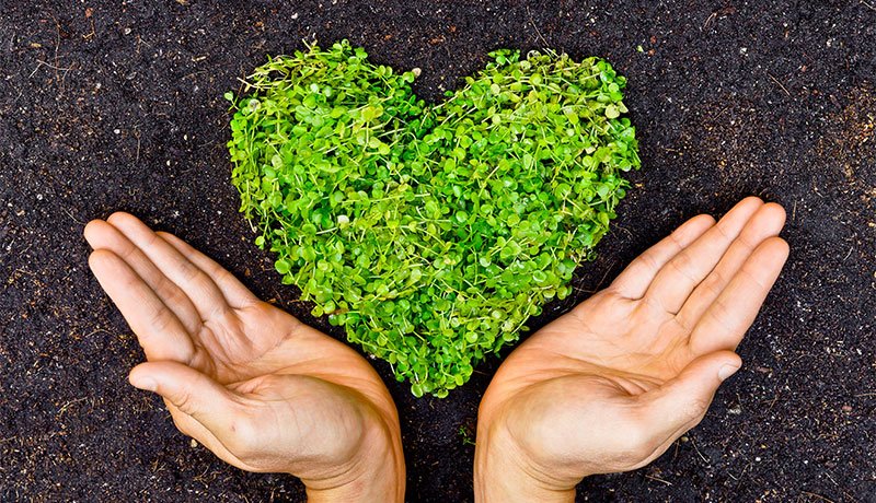 How to Meet People Who Are 