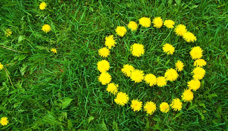 Everyone Wants to Be Acknowledged