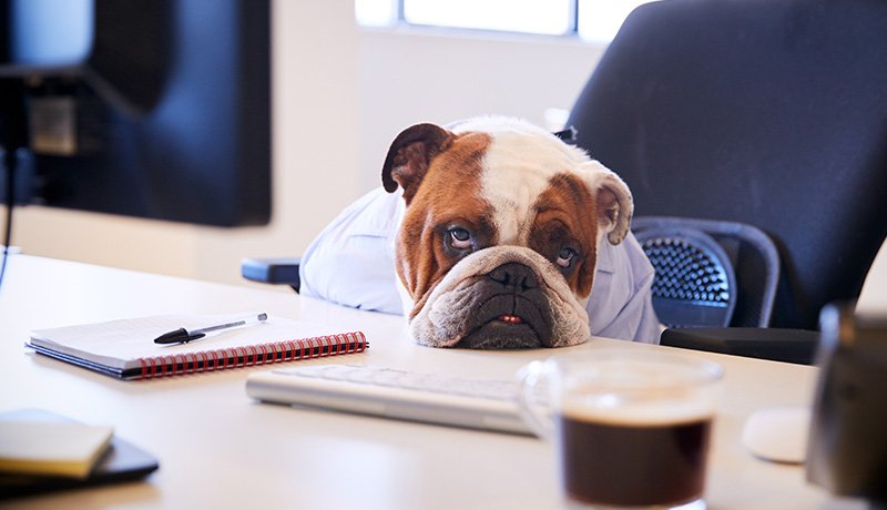 もし、あなたが「退屈なリーダー」だと思われたら？