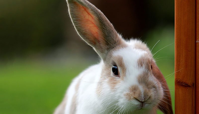 コーチが注意を向けるべき３つのリスニング・ポイント