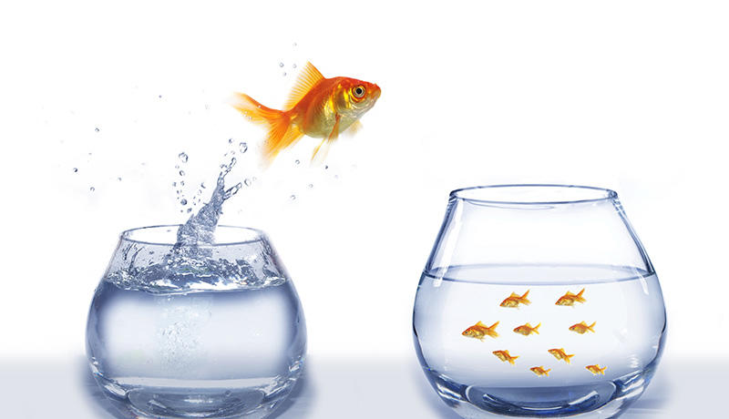 新任リーダーが向き合う、2つのトランジション