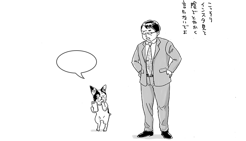 「インスタ見て・・・」:No.76