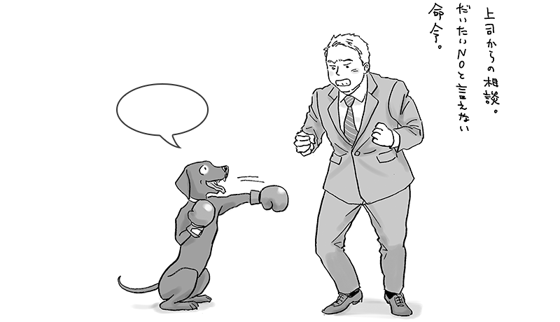 上司からの相談。:No.84