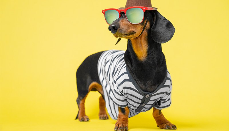 遊び心と遊びをコーチングに取り入れる方法