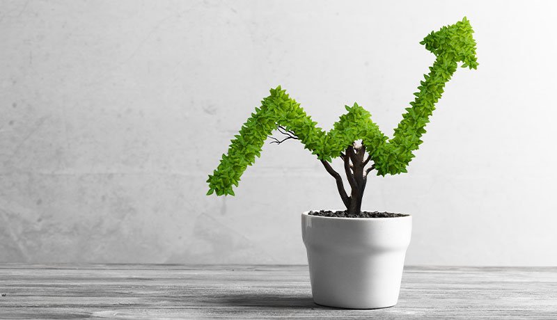 สร้างทีมที่ไม่พึ่งพาคนเก่งเพียงคนเดียว