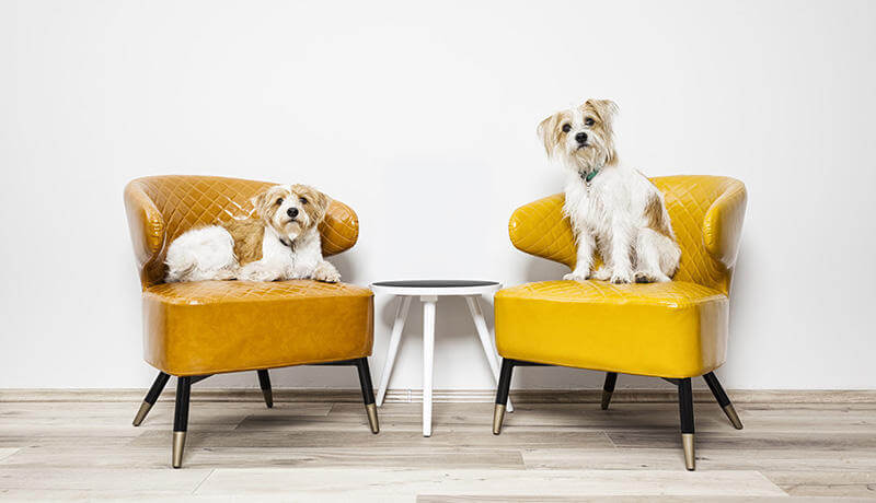 話しやすい環境でも部下が意見を言わない、本当の理由