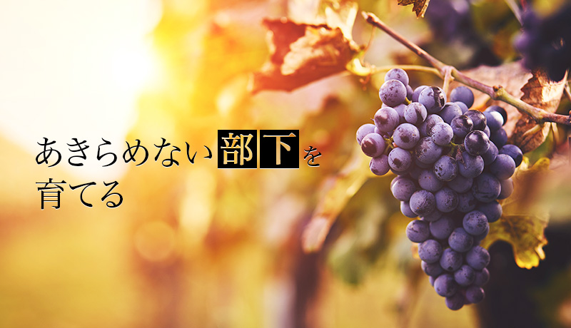 あきらめない部下を育てる