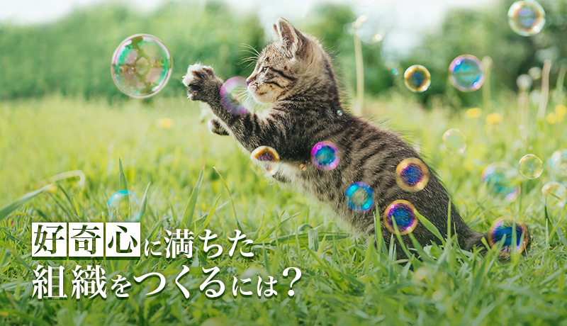 「好奇心」に満ちた組織をつくるには？