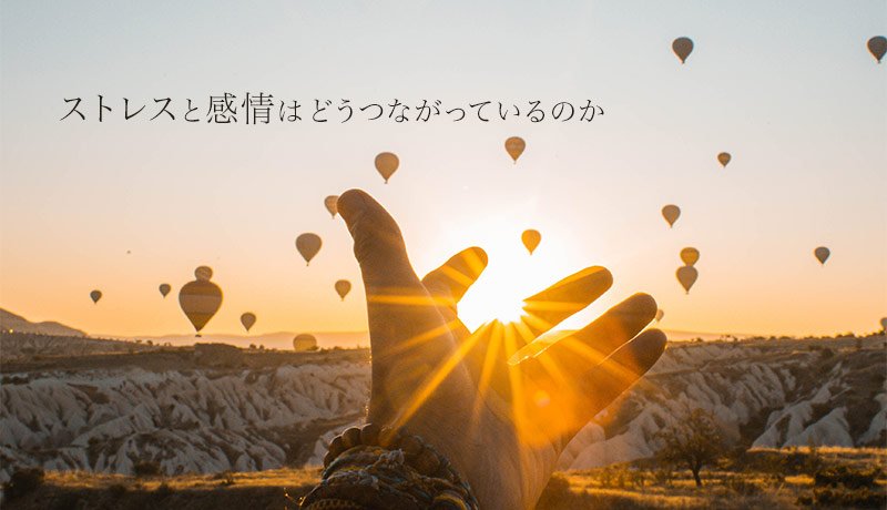 ストレスと感情はどうつながっているのか