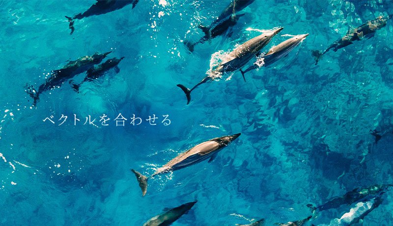 ベクトルを合わせる