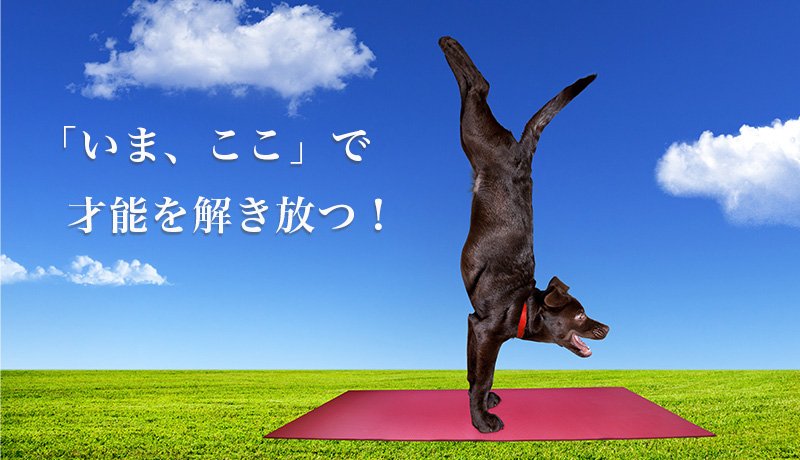 「いま、ここ」で才能を解き放つ！