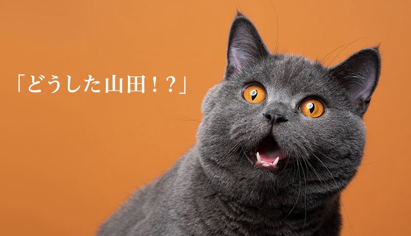 「どうした山田！？」
