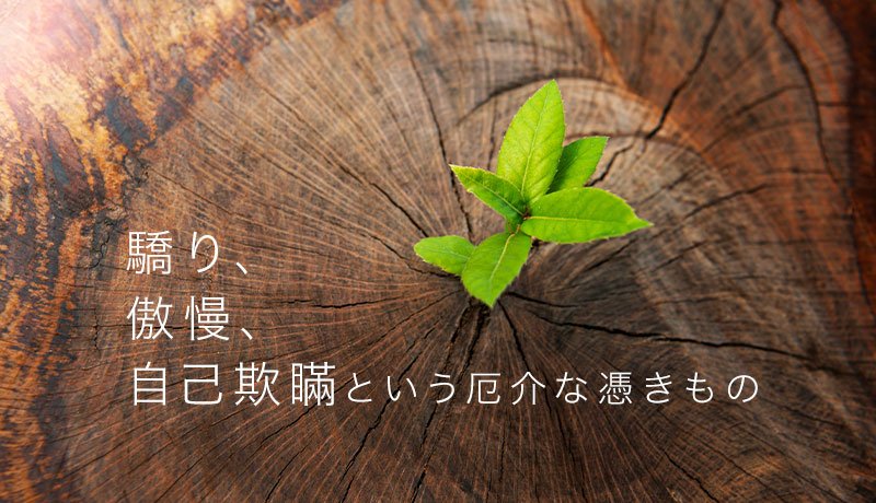 驕り、傲慢、自己欺瞞という厄介な憑きもの