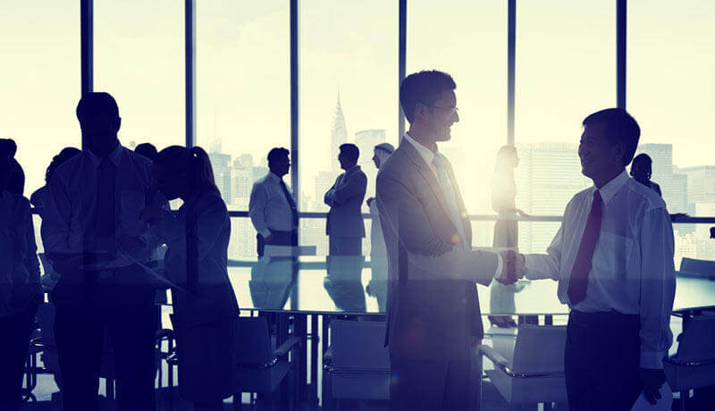 しなやかで強い組織では何が起きているのか？