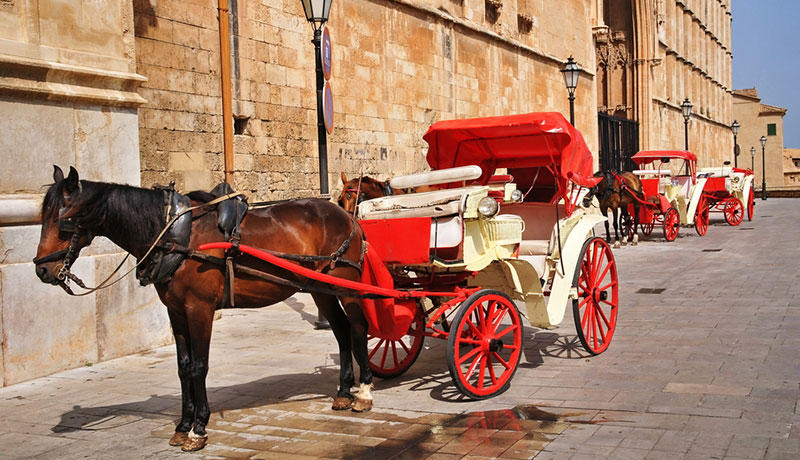 コーチングの歴史